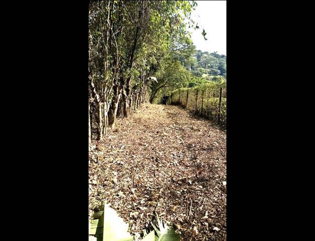 LAND FOR SALE IN PADFIELD PARK